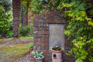 Front Driveway - click for photo gallery